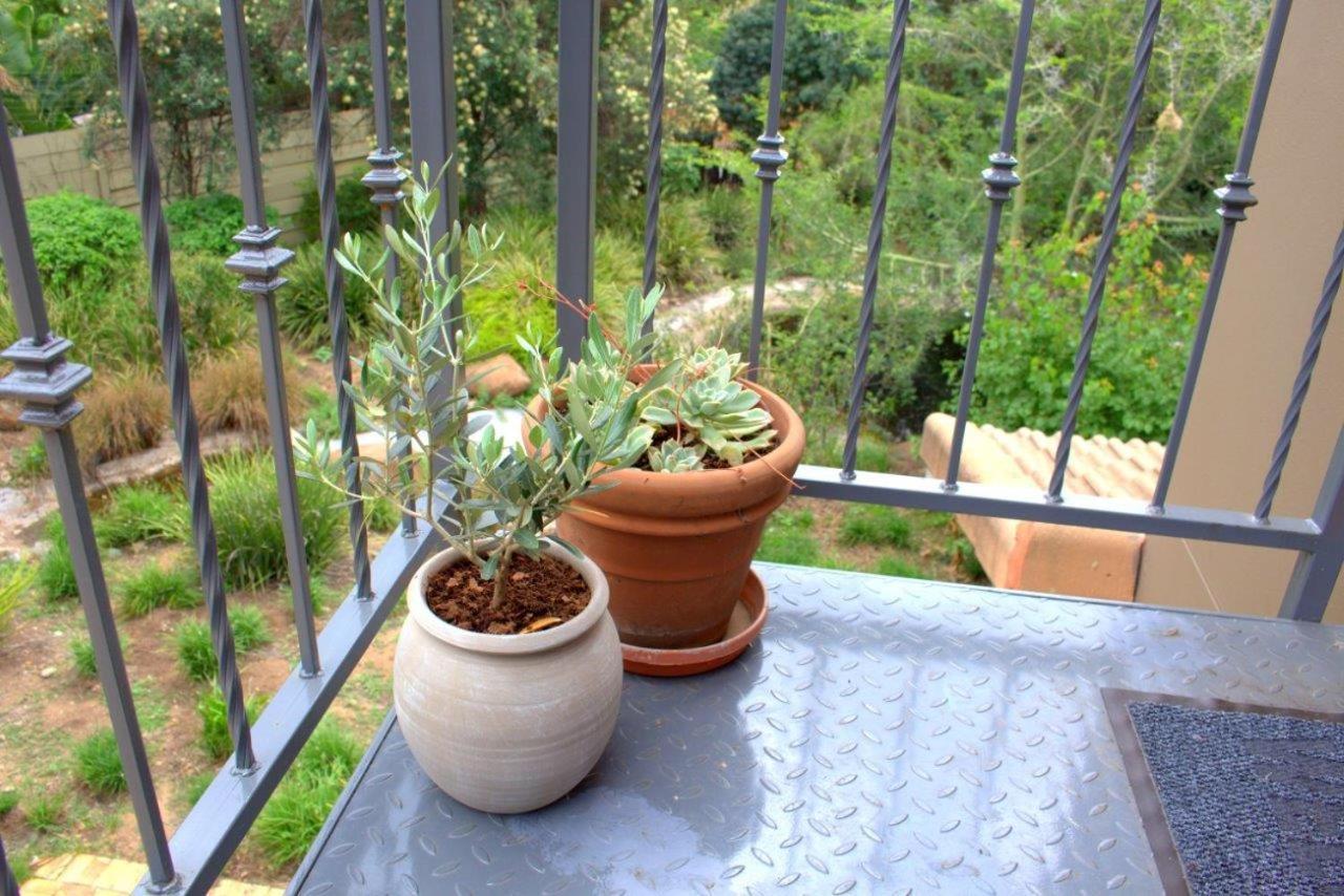 Wild Olive Executive Suite Joanesburgo Exterior foto